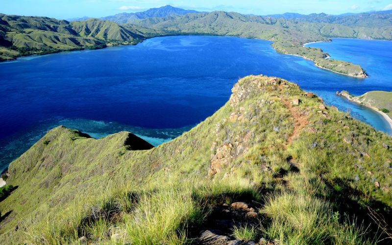 komodo